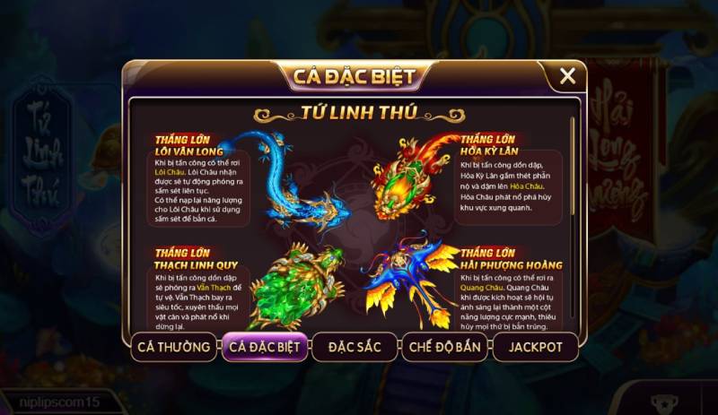 Kinh nghiệm thực chiến từ cao thủ Kho Báu Long Cung